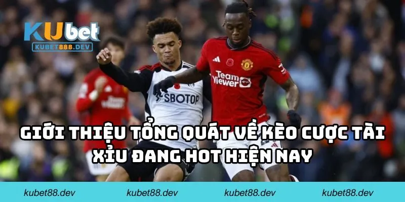 Giới thiệu tổng quát về kèo cược tài xỉu đang hot hiện nay