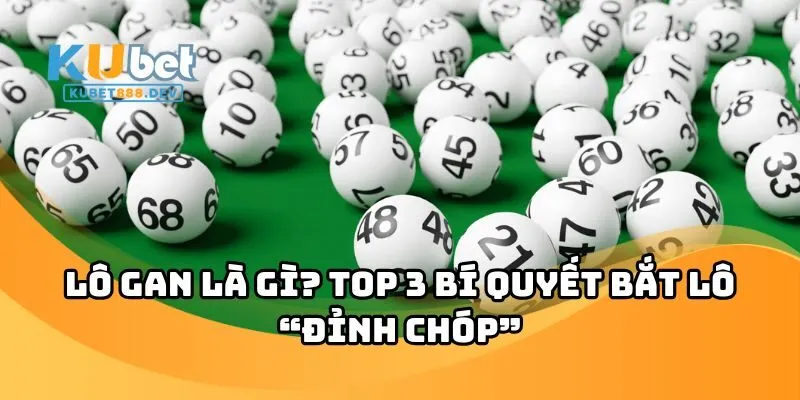 lo gan anh dai dien lo gan anh dai dien